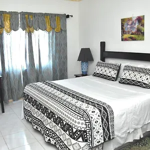 embassy-deluxe-apartment.comcaribbean.com/